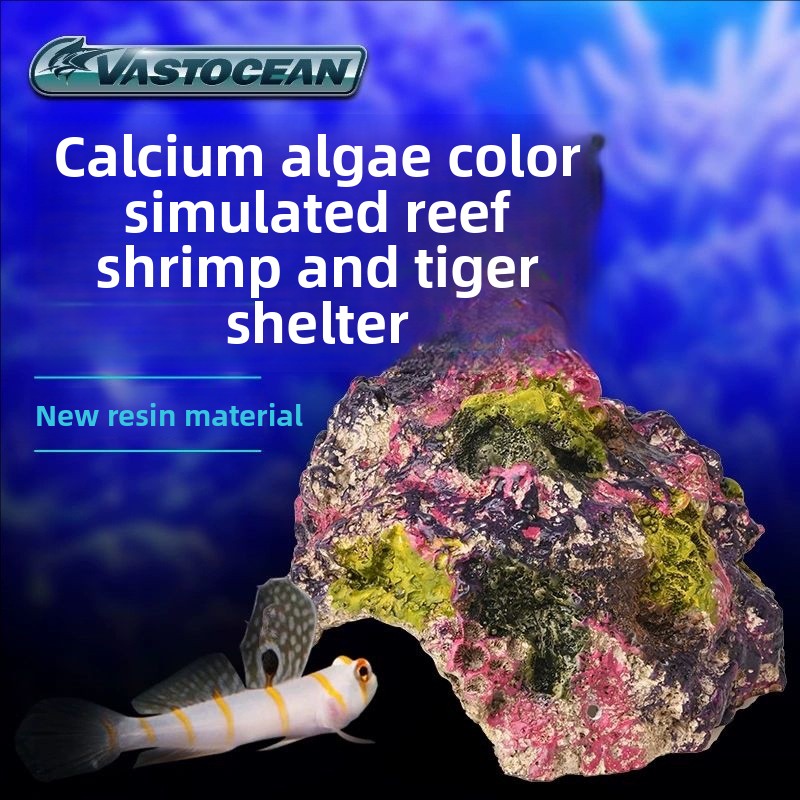 Marine Aquarium Hermit Crab - Jaskinia do akwarium morskiego VASTOCEAN -