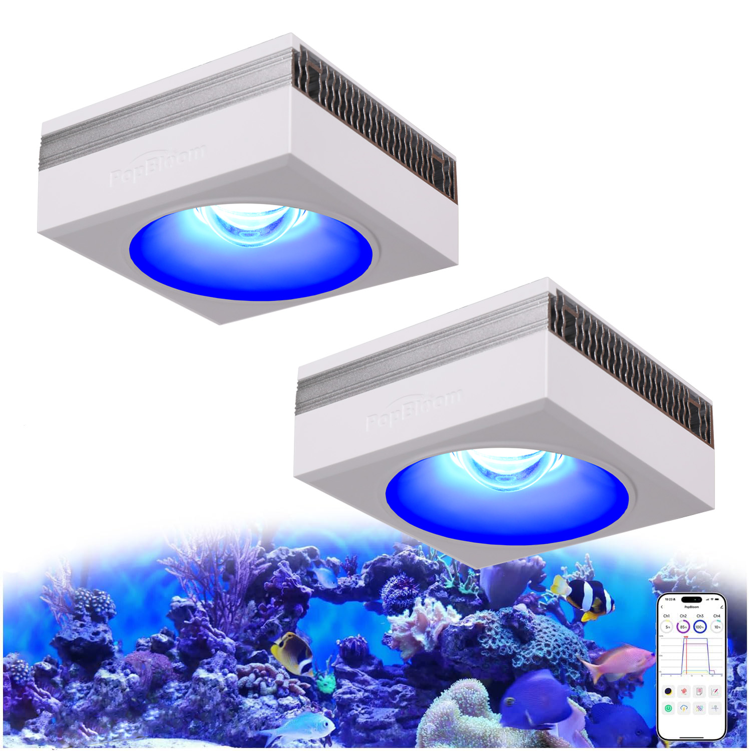 Marine X Aquarium - Nowa lampa akwariowa LED PopBloom RL90