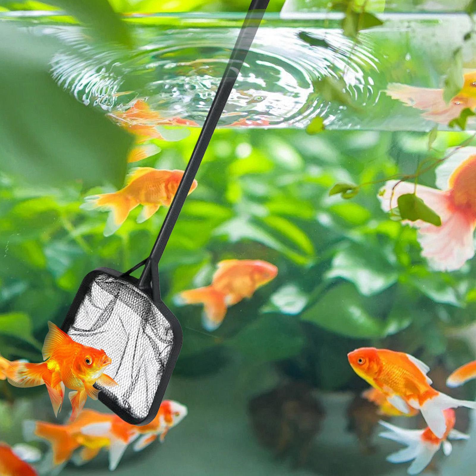 Siatki do czyszczenia basenów, – Marine Aquarium Equipment recenzja i cena