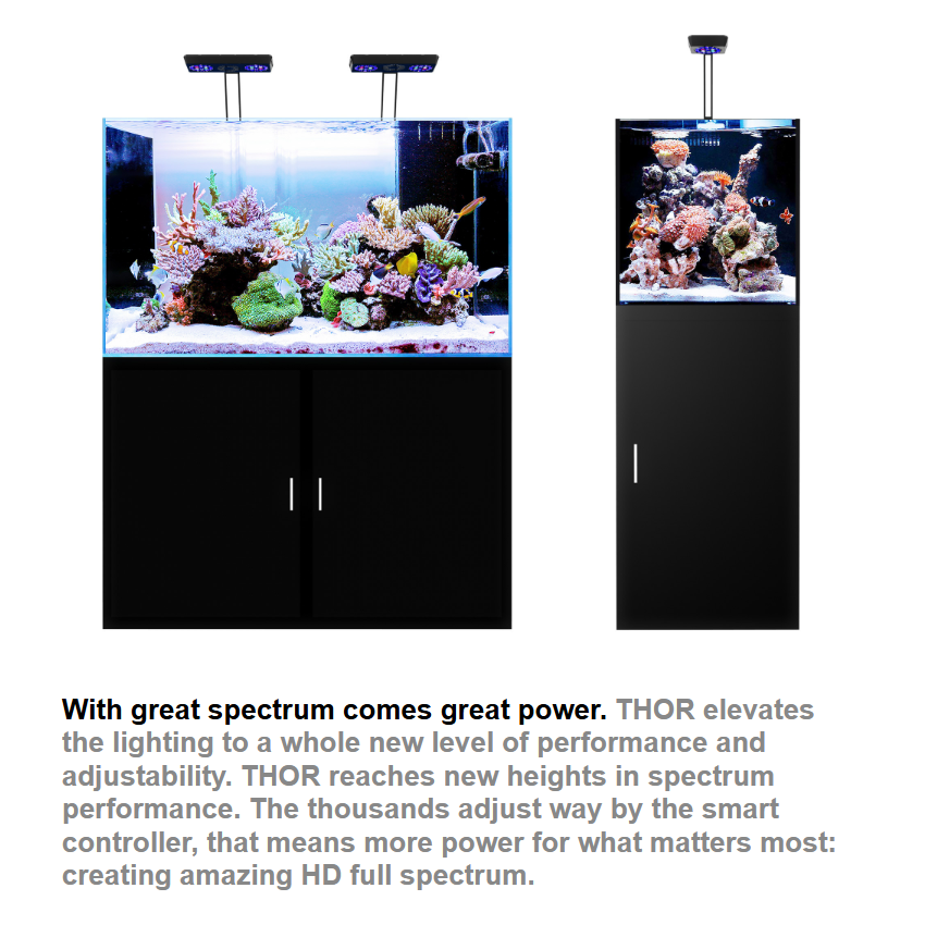 MICMOL THOR & THOR X Gen5 Inte – Marine X Aquarium recenzja i cena