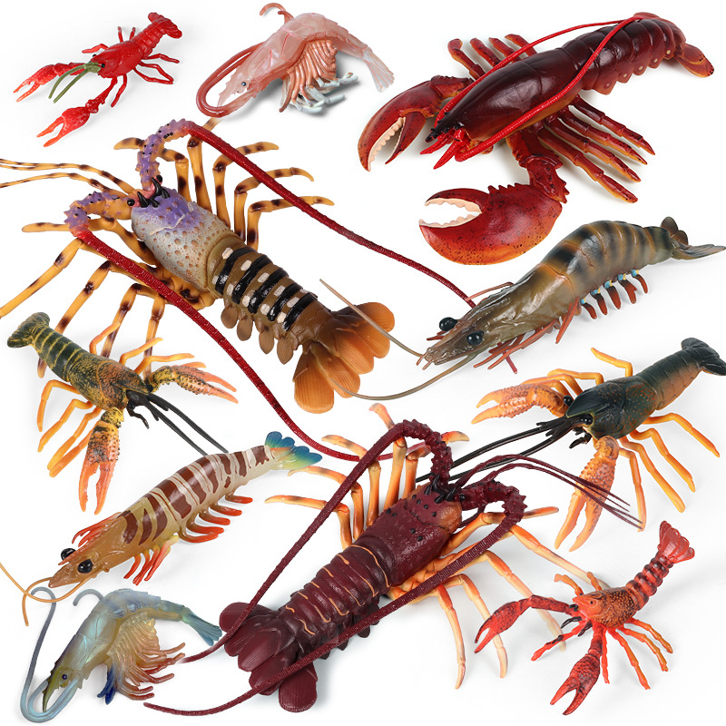 Realistyczna figurka morskich  – Marine Aquarium Hermit Crab recenzja i cena
