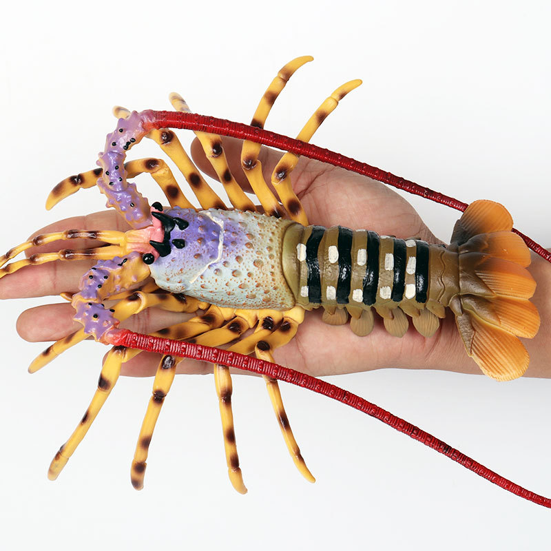 Realistyczna figurka morskich  – Marine Aquarium Hermit Crab recenzja i cena