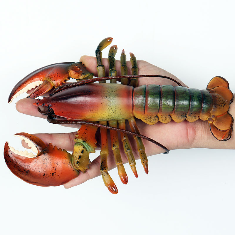 Realistyczna figurka morskich  – Marine Aquarium Hermit Crab recenzja i cena